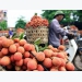 Hai Duong lychee to be sold on e-commerce sites