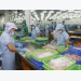 Vietnam seafood industry grasp opportunities from new Covid-19 wave