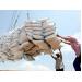 Việt Nam dự kiến xuất khẩu 5,7 triệu tấn gạo