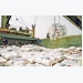 Philippines áp giá trần với 250.000 tấn gạo chuẩn bị NK