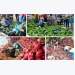 Fruit, vegetable prices in Vietnam pressured from strong supplies