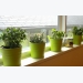 How To Make Indoor Herb Garden