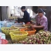 Bình Dương expands production of specialty mangosteens