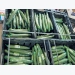 Cucumber farming: volume and quality trump shrinking margins