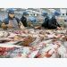Vietnam and Norway boost seafood consumption and enhance quality