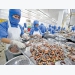 VKFTA gives boost to shrimp exports to RoK