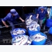 CPTPP gives great chances for Vietnam’s tra fish exports