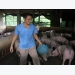 Cao thủ nuôi lợn an toàn giữa vùng dịch