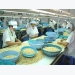 Viet Nam cashew industry fails to meet export targets