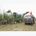 Sugar industry in difficulty due to a double crisis