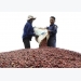 Tata builds freeze-dried coffee plant in Vietnam