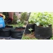 Growing Potatoes in Containers: A Roundup of the Best Ideas