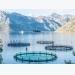 Dangerous or Sustainable? The Truth About Aquaculture