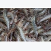 Farmed shrimp can thrive on soy and canola meal blend: Malaysian team