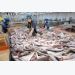 Two seafood “kings” see profits fall as business problems mount