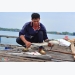 Gần 90 tấn cá bè trên sông Chà Và ở Vũng Tàu lại chết ồ ạt