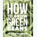 How to Grow Great Green Geans In Containers