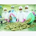 New US regulations expected to hurt Vietnamese shrimp exports