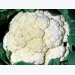 Conquer cauliflower mosaic virus