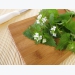 10 Edible Weeds Likely Growing in Your Yard