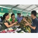 Hanoi consumers introduced to Son La’s longan and safe farm produce