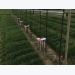 Do-it-yourself crop imaging system developed