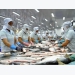 Tra fish exports to Southeast Asia rise 14.6 percent