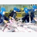 Pangasius fish price drops to ten year low