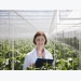 ‘New plant breeding methods should not be considered GMOs’