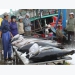 EU to exempt import duties on Vietnamese tuna