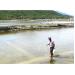 Nuôi Tôm Trên Ruộng Muối Ở Khánh Hòa