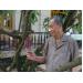 Thầy thuốc 83 tuổi và giấc mơ ca cao Việt
