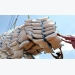Rice exports on sharp rise