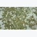 Nofima to lead cleanerfish feed research