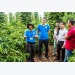 Bayer offers innovative solutions to improve the efficiency of coffee production in Vietnam