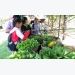 Organic farm is first EU standard in Cambodia