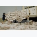 Rice export goal raised to 5.6 million tonnes this year