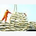 Rice exports: Opportunities in traditional markets