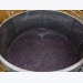 Grape pomace may support farmed fish facing disease challenge