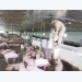 Quy trình chăn nuôi lợn an toàn sinh học cùng vào cùng ra