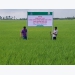 Lộc Trời Group expands organic agricultural production
