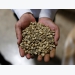 Asia Coffee-Vietnam prices edge up on scarce supplies, stocks rise in Indonesia