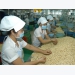 Vietnamese cashew nuts to be on tables of European countries