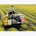 New development opportunities for Vietnam’s agriculture