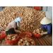 Hành tây Đà Lạt khan hiếm giá tới 44.500 đồng/kg