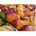 Ba Lan ký hiệp định xuất khẩu táo vào Việt Nam