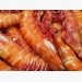 US refuses entry to 17 antibiotic-laced shrimp imports in September