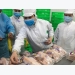Ho Chi Minh city retail outlets sell traceable chicken meat, eggs