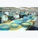 Vietnam remains world’s No 1 exporter of cashews