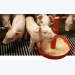 Strategies to control piglet weight variability in the nursery (2/2): Feeding and feeding